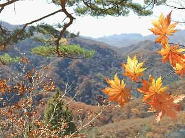 洞口縣山門鎮，揭開最新發展的篇章